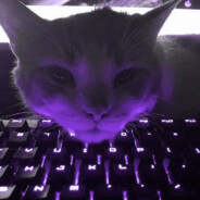! sb terractov