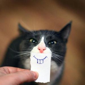 Легендарный Кот