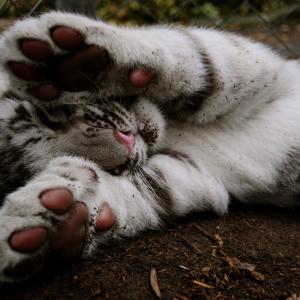 Оксана Ивановна