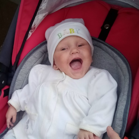 Александр Красиков