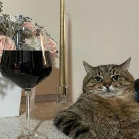 Рустем Бодров