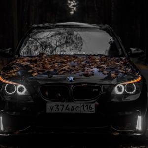 mihailzivaev64