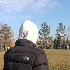 Симс